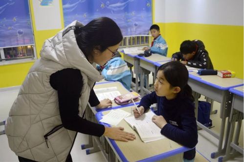 課后延時(shí)與校外托管 同源不同命的服務(wù)分野